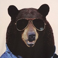 Vlipp Hardy