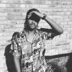 LoopZ The Maestro