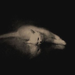 lizadanger228