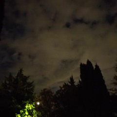 cloverfield1881