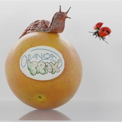 ORANGATRAX