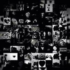 سامر أبو محمد