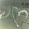 you._.n0x