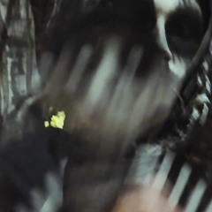 dj dumbfuck