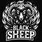 BlackSheep