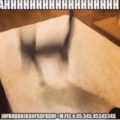 gamer