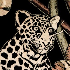 DreiäugigeWildkatze