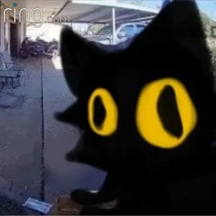 EvgeniyUwU_SC