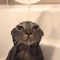cantbanmetwice