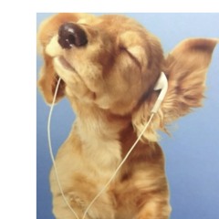 nedîmofficial