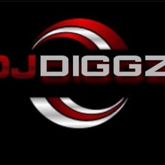 DJ DIGGZ US/DM  ENT