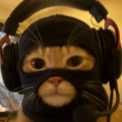 rav_