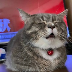 ok enjoyer