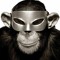 Masked Monkey