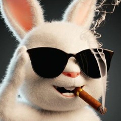 bunny
