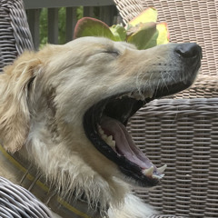 why-it-gotta-be-like-this