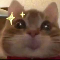 meo