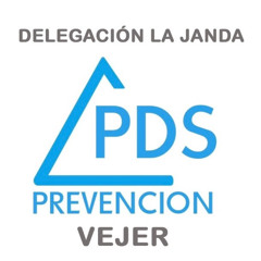 PDS Prevencion. Vejer