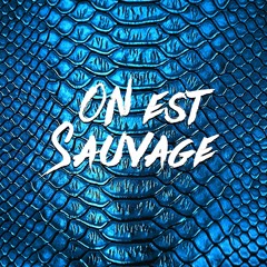 Onestsauvage