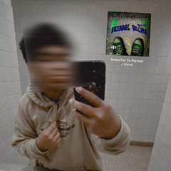 MT
