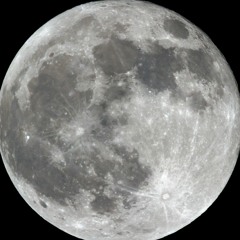 LUNAR Artist Management