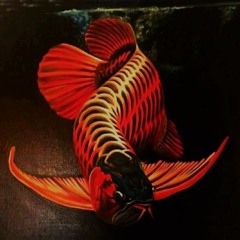 LinkLogin Suksestoto