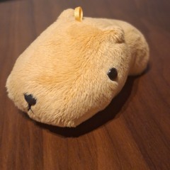 Capybara