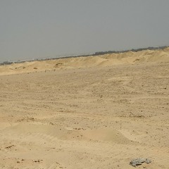 Mahmoud Elhabeeby