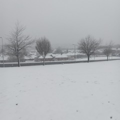 cold friday
