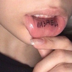 женя сасисков