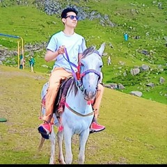 TJ KAKAKHEL