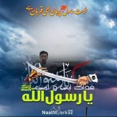 Muzammil Anwer