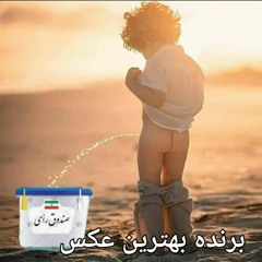 pouyan shafiey