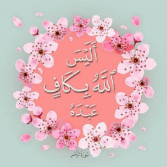 Elsayed Kamel