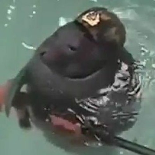 WOW WOW 2018 The Q - Dance Hardstyle Top 10