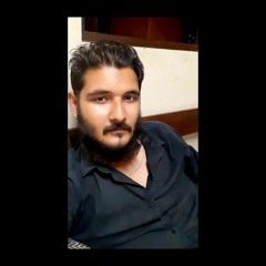 Hussain 0065