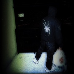 vtrxty