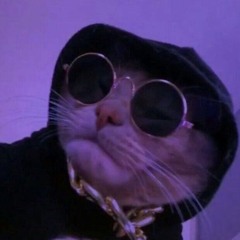 [FREE] Lil Tony Sample Type Beat- Wish (1)