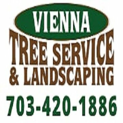 Vienna Tree Service & Landscaping’s avatar