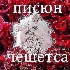 Черкаш наркоманит