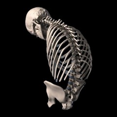 dikoga&qazplmwsxoknedcijbrfvuhgy