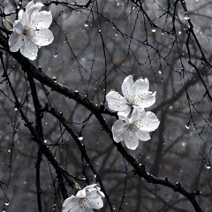 ‎‎aliasbry