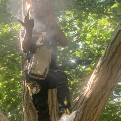 heartbreak kidd