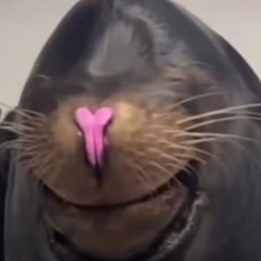 ゆいっぴ