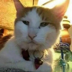 roger waters cat