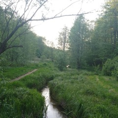 Music༎ຶ⁠‿⁠༎ຶ