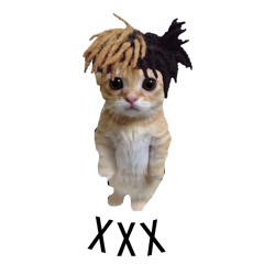 Lil VaBe