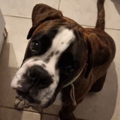 @nne-Cath Régent-Elie