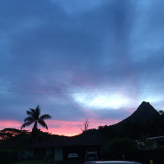 eastSide Zombie Killer