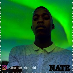 N4T3_N4TOR